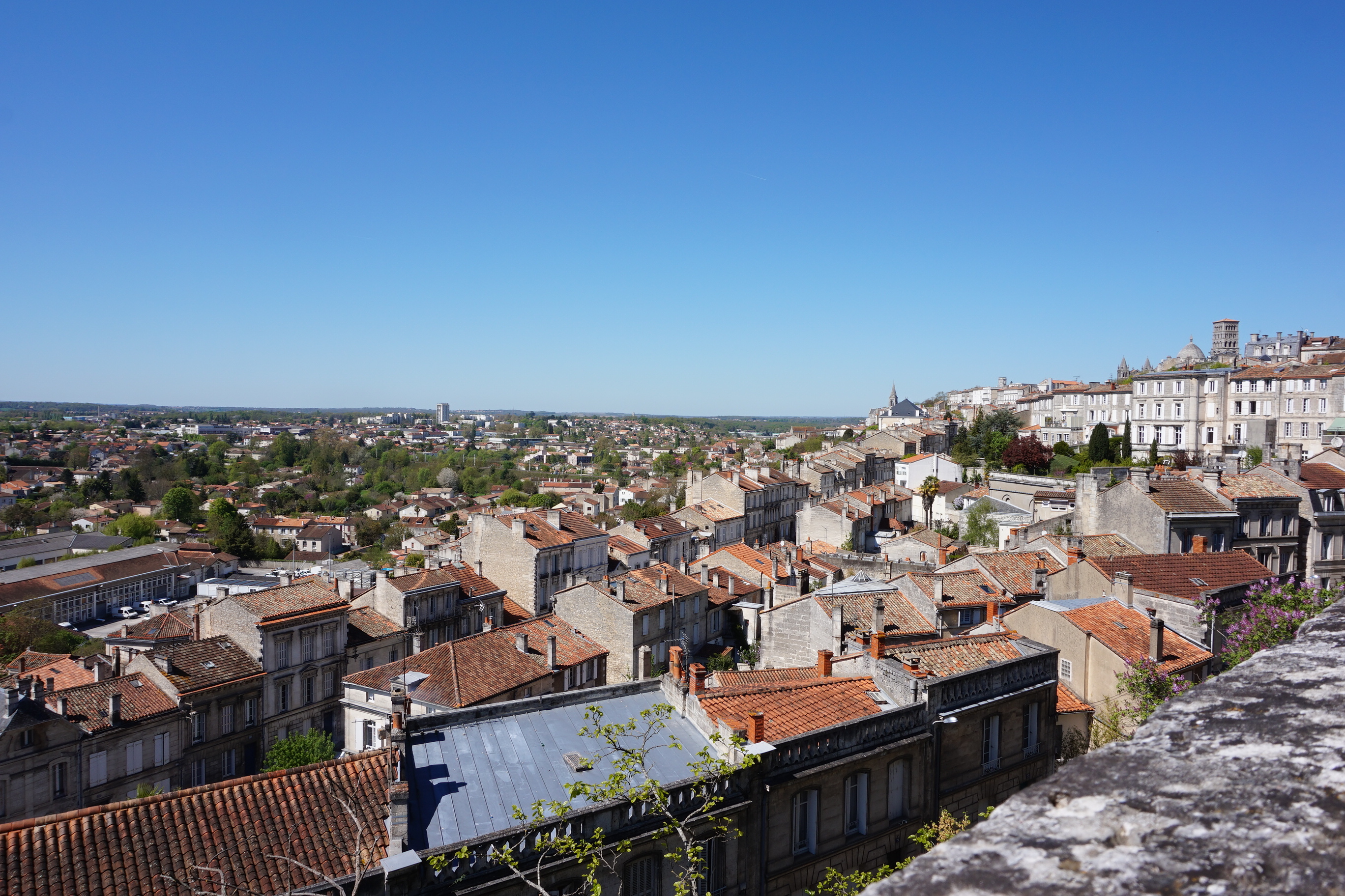 DSC01713.JPG