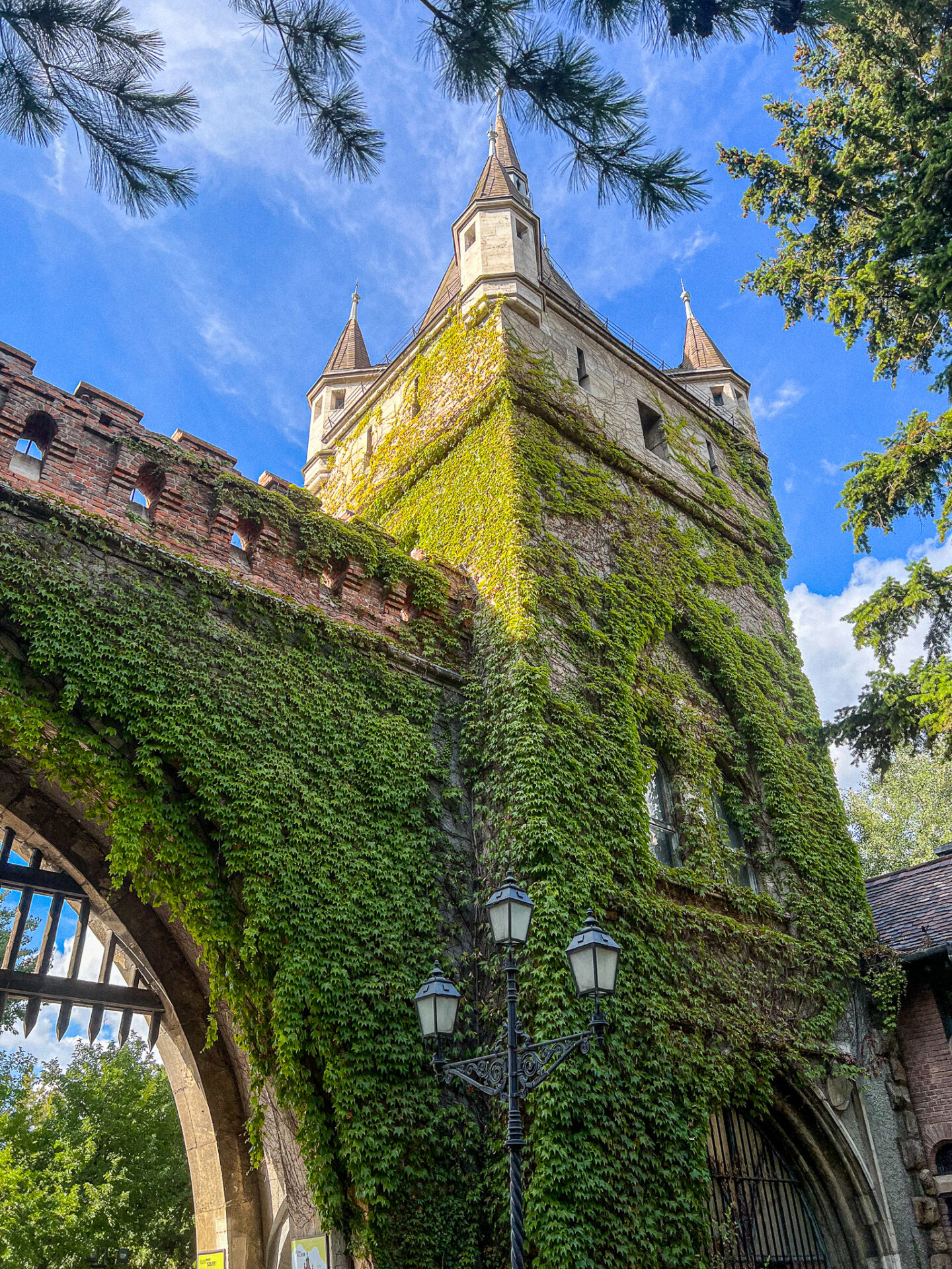 Vajdahunyad Castle entrance