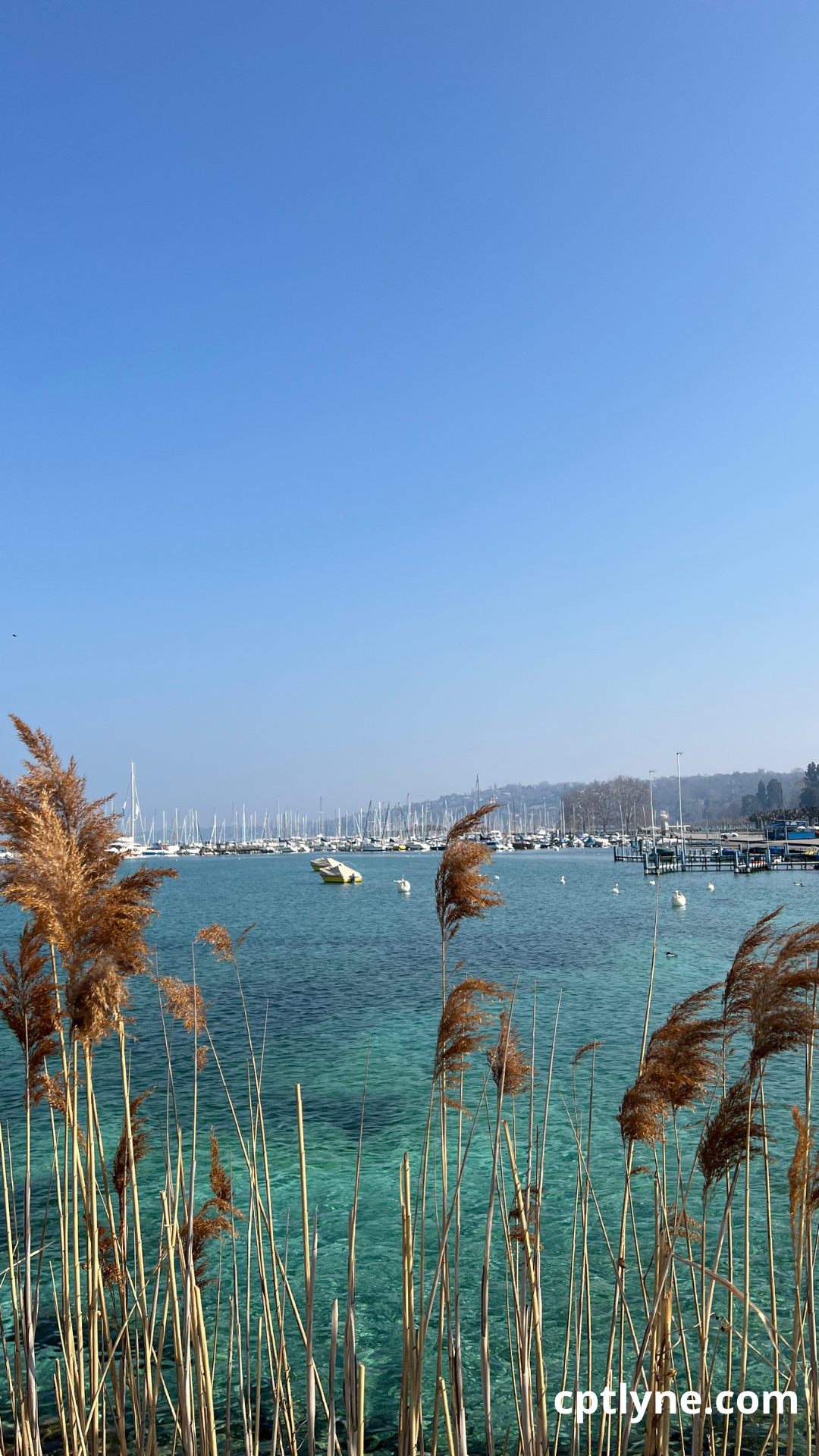 Sunny winter day in Geneva, beautiful shades of blue of the Lac Leman. 